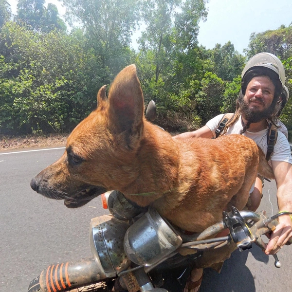 Илья встретил своего пса на балконе в Индии | Источник: личный архив Ильи Морозова