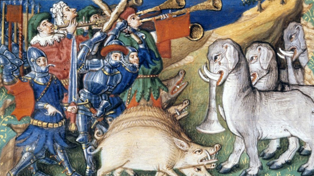 Свиньи против слонов и еще четыре самые странные битвы в истории войн