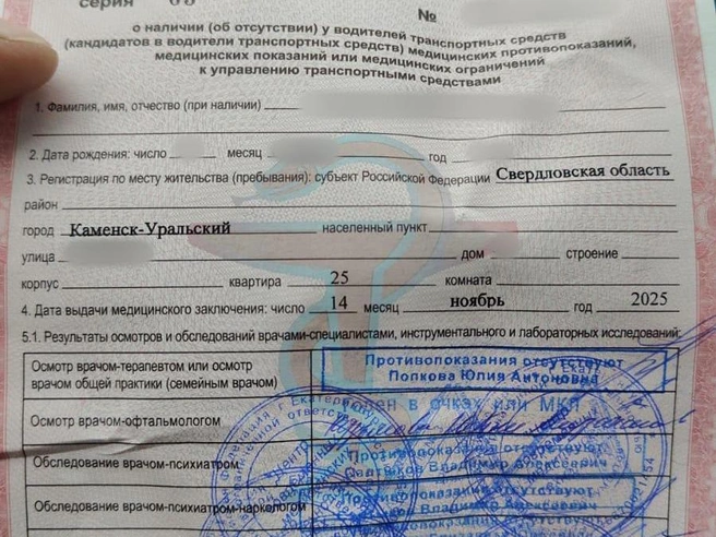 Медицинская справка, подлинность которой проверяли в течение двух недель | Источник: читатель E1.RU