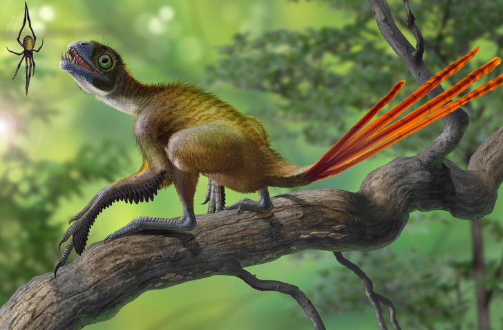 Фрики мезозойской эры: 10 динозавров, в существование которых сложно поверить