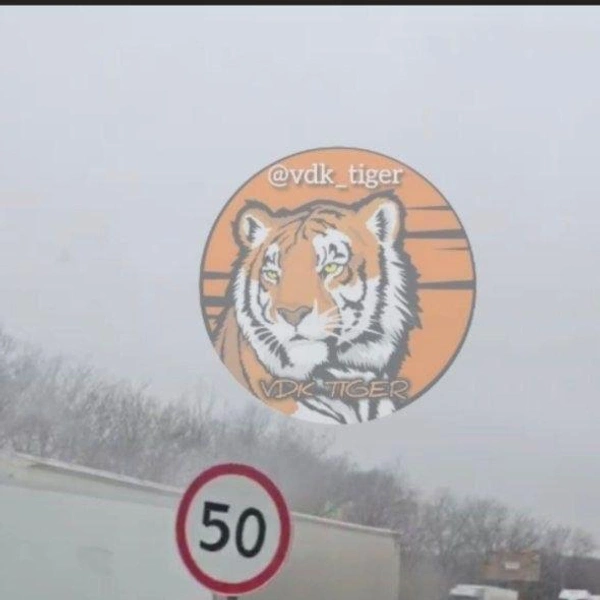 Источник: vdk_tiger_vladivostok25 / T.me