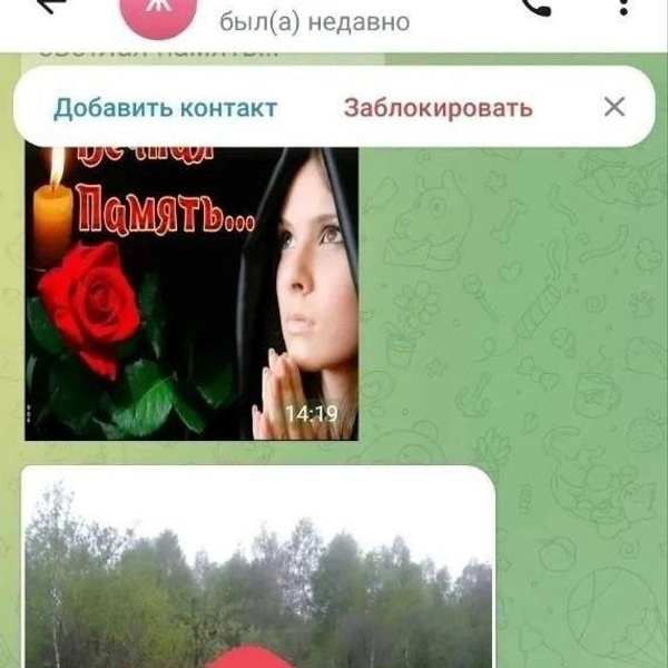Источник: читатель E1.RU Никита