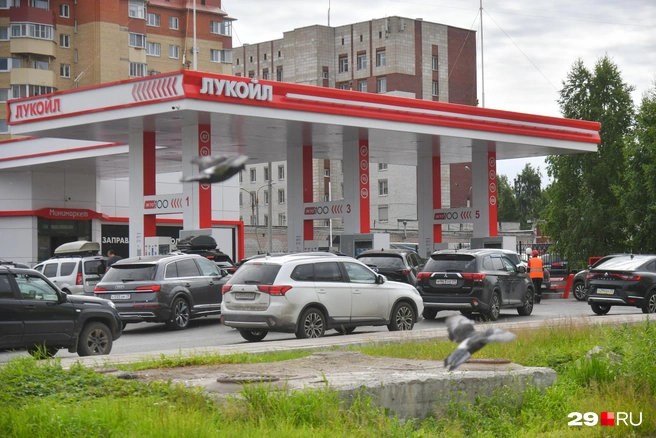 Источник: Иван Митюшёв / 29.RU