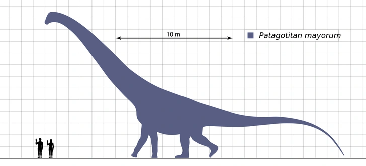 Гигант среди гигантов: каким был самый большой динозавр
