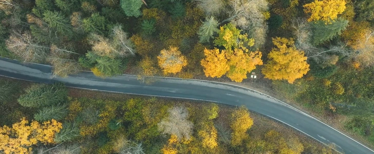 «Как приручить лису»