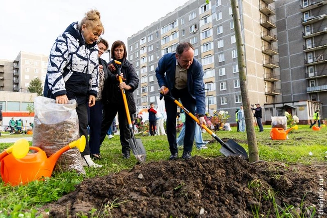 Источник: st.cherinfo.ru