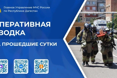 МЧС Дагестана: семь пожаров и два ДТП за сутки