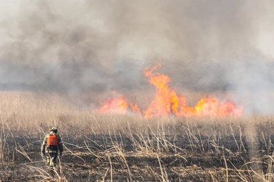 Столб дыма над Ростовом: плановое выжигание травы