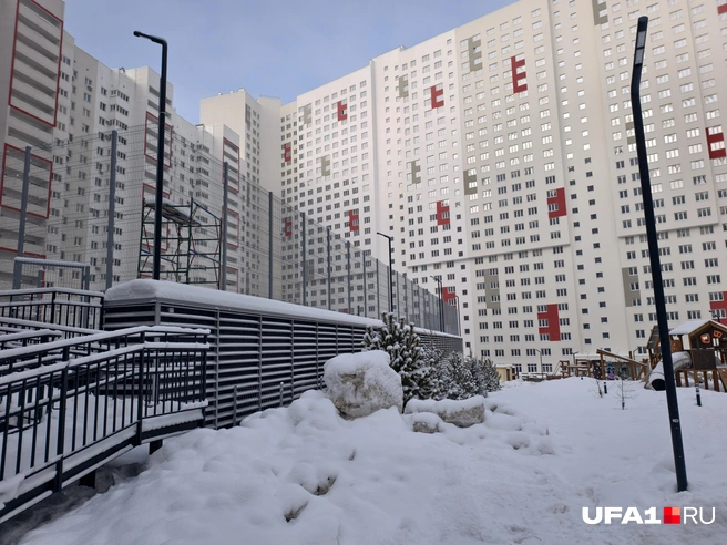 Елки высадили вдоль забора в одну шеренгу | Источник: Булат Салихов / UFA1.RU