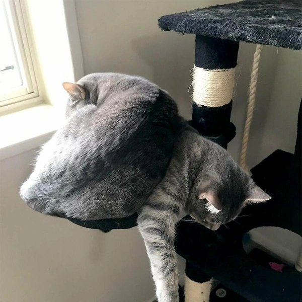 Источник: соцсеть