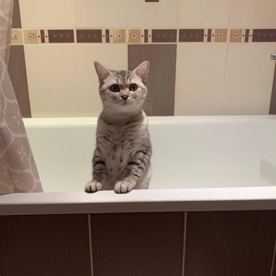 Во всех районах Перми будут на время отключать холодную воду: точный график с адресами