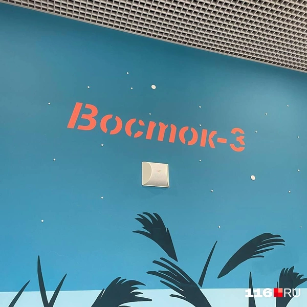 Источник: Маша Вишенина / 116.RU