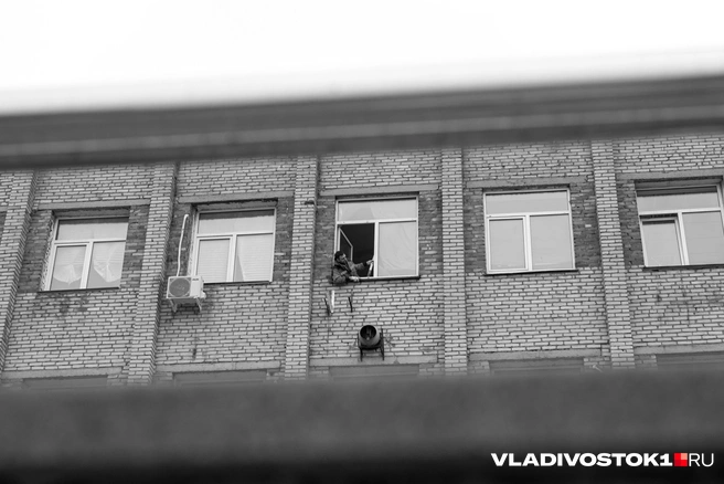 Источник: Елена Буйвол / VLADIVOSTOK1.RU