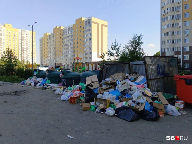 В Оренбурге мэрия не исполняет решение суда и не переносит контейнерную площадку, которая не соответствует СанПиНу | Источник: Владислав Митрошин / 56.RU
