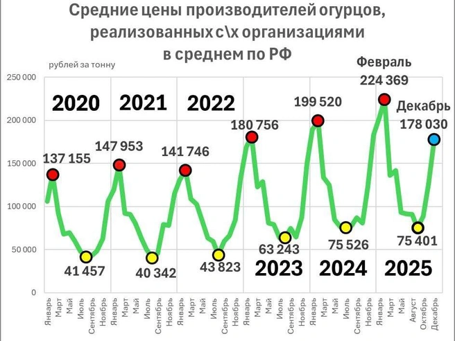 Средние оптовые цены на огурцы от российских производителей | Источник: Фонтанка, Росстат