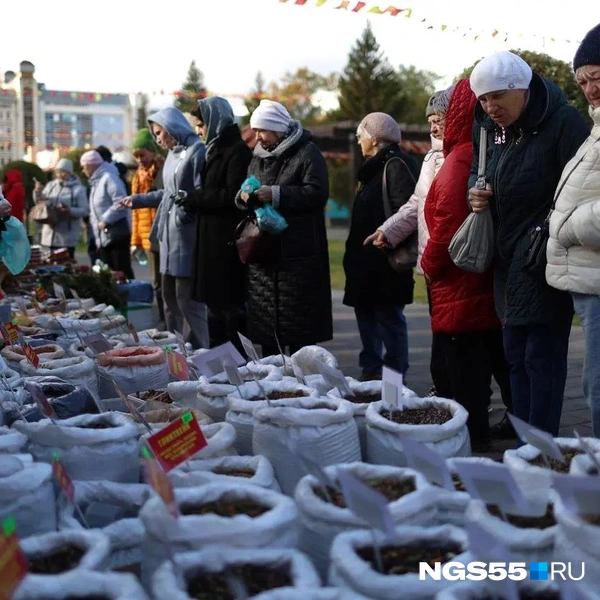 Чайный ряд пестрит разнообразием: от травяных сборов до экзотических купажей | Источник: Евгений Софийчук / NGS55.RU