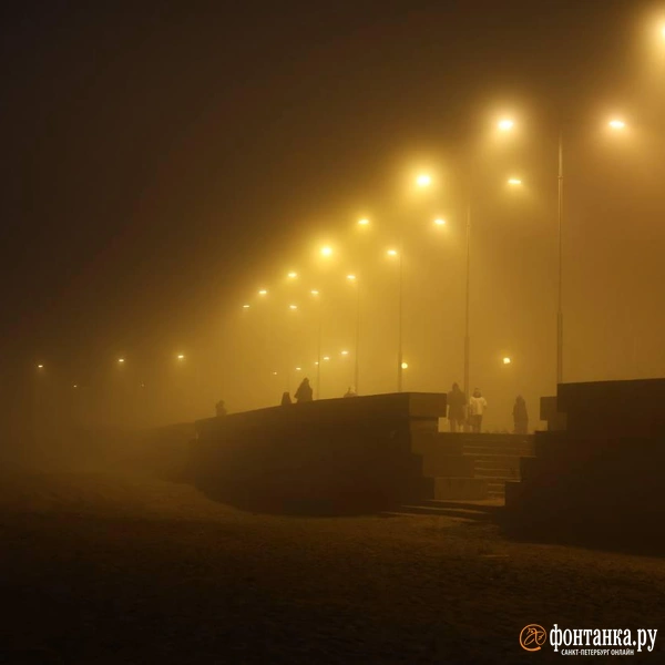 Источник: Марина Мамонтова / «Фонтанка.ру»