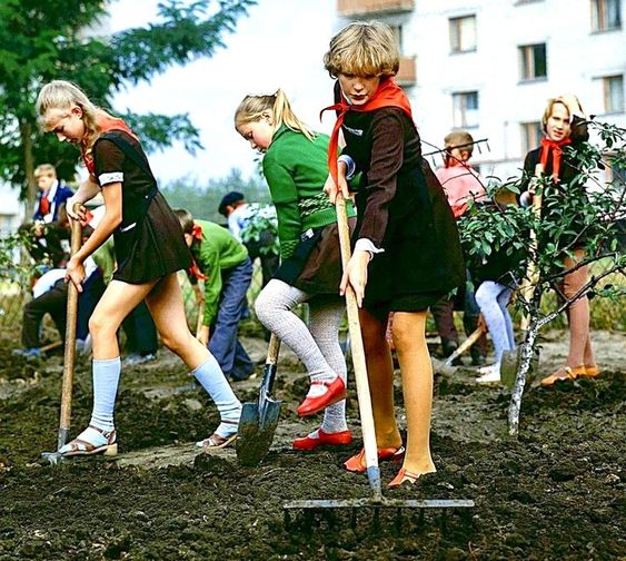 Унификация во всем: 7 вещей, которые запрещали советским школьникам