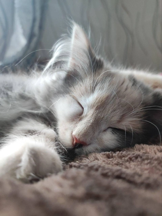 И этого тоже :)  | Источник: читатель 63.RU 