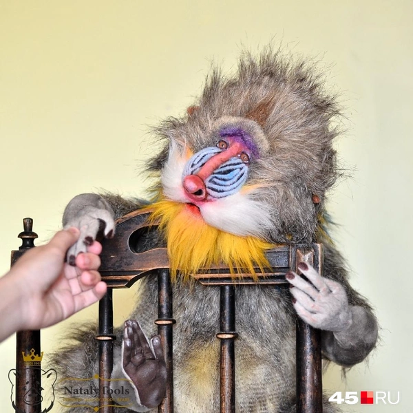 Источник: Наталья Толстыкина