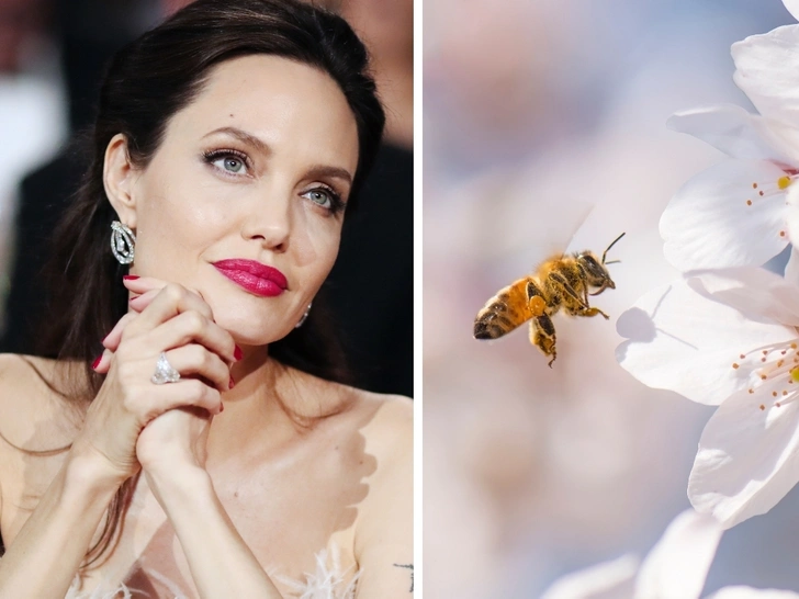 «От женщин пчелам»: Guerlain запускает программу, которая расширит права женщин | marieclaire.ru
