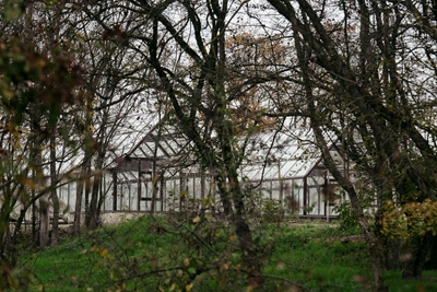 Теплицы появятся в парках Ростова