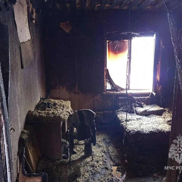 Среди пострадавших двое детей | Источник: МЧС по Нижегородской области