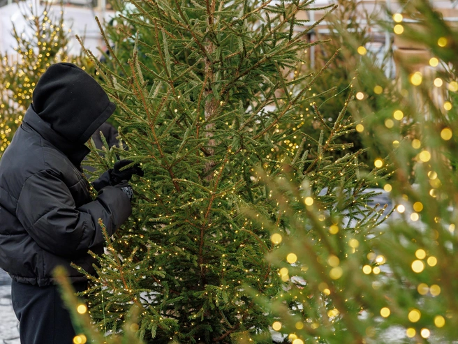 Источник: РМК