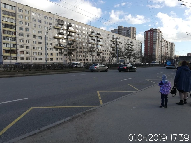 ответы властей | Источник: фото с сайта gorod.kis.gov.spb.ru