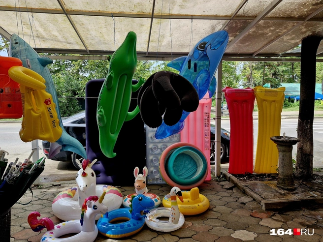 Сразу понятно, что мы на морском курорте | Источник: Виктория Федорова / 164.RU