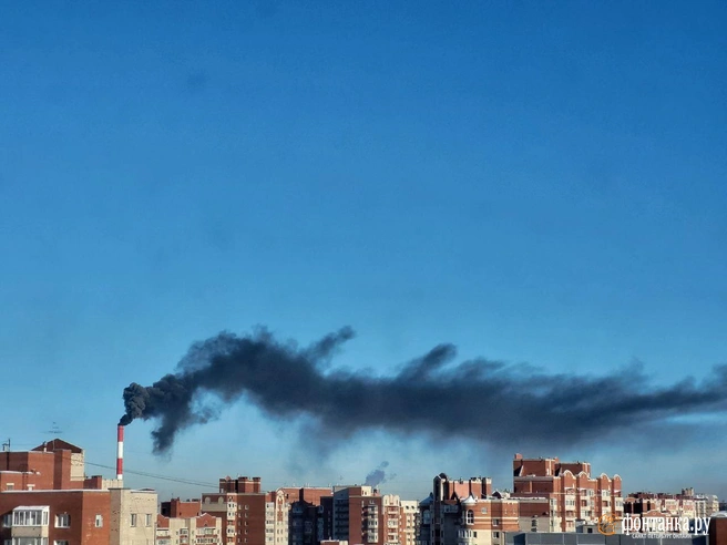 Источник: читатель «Фонтанки»