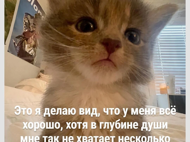 Признавайтесь, кто? | Источник: Городские медиа