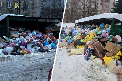 «Это абсурд»: мэр Ярославля осудил захламленные мусорные площадки