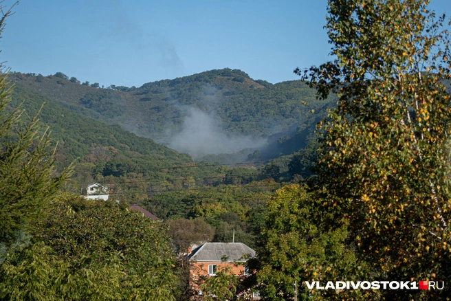 Летних температур уже точно не будет | Источник: Елена Буйвол / VLADIVOSTOK1.RU