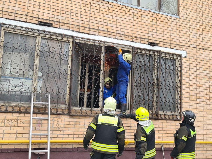10 лет не был на улице: спасатели сносят окна в квартире, чтобы вытащить 400-килограммового Максима