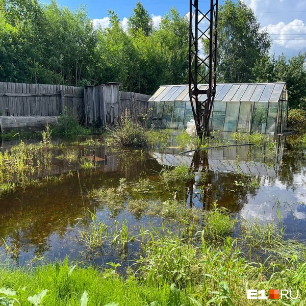 Еще немного — и на участке можно будет ловить рыбу | Источник: Яна Ахудзянова / E1.RU