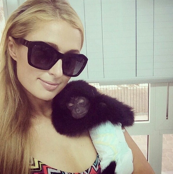 Источник: @parishilton