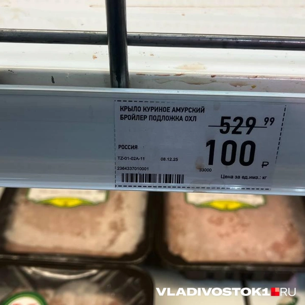 Источник: Елена Буйвол / VLADIVOSTOK1.RU