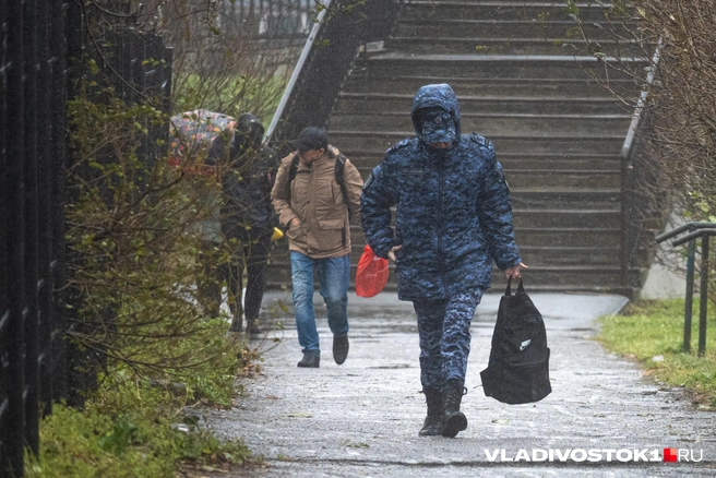 Вода в реках может выйти из берегов | Источник: Елена Буйвол / VLADIVOSTOK1.RU