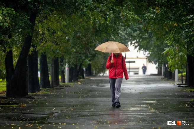 Сильного ветра не ожидается | Источник: Владислав Лоншаков / E1.RU