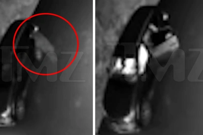 Медведь влез в машину в Монтане: видео