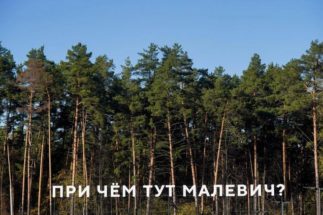 Чиновники уже нашли подрядчика на разработку проекта благоустройства. На сами работы исполнителя еще ищут | Источник: Авилов Александр / Агентство «Москва»