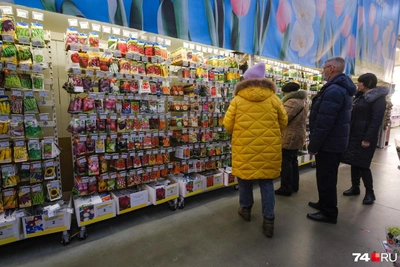 Садовод назвала лучшие даты для посева перцев и томатов