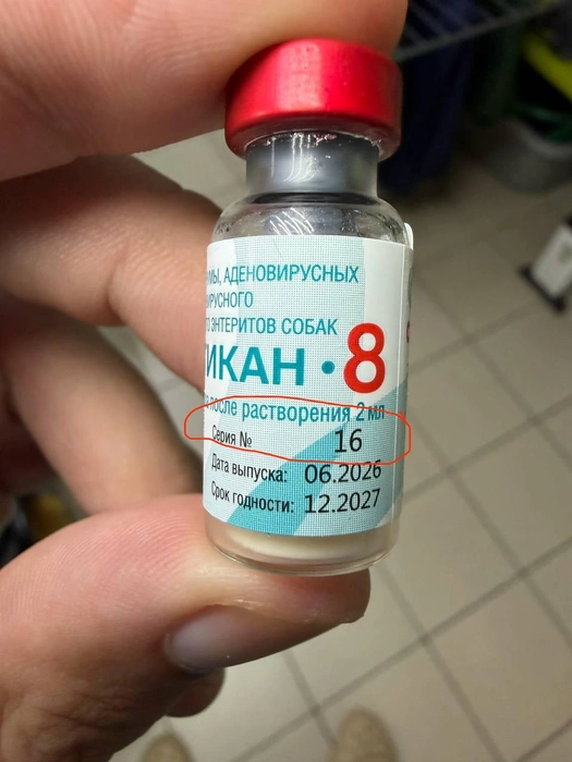 Илья Мартышенко призвал обращать внимание на серию вакцины. На фото, к примеру, 16-я, на которую не было жалоб | Источник: Ветеринар Илья / Telegram