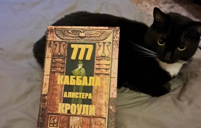 Книгу новый хозяин может и не брать, но она идет в полном комплекте | Источник: avito.ru / kemerovo