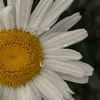 userpic__samylinalubava