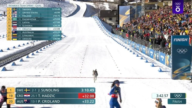 Источник: Скриншот из трансляции Okko