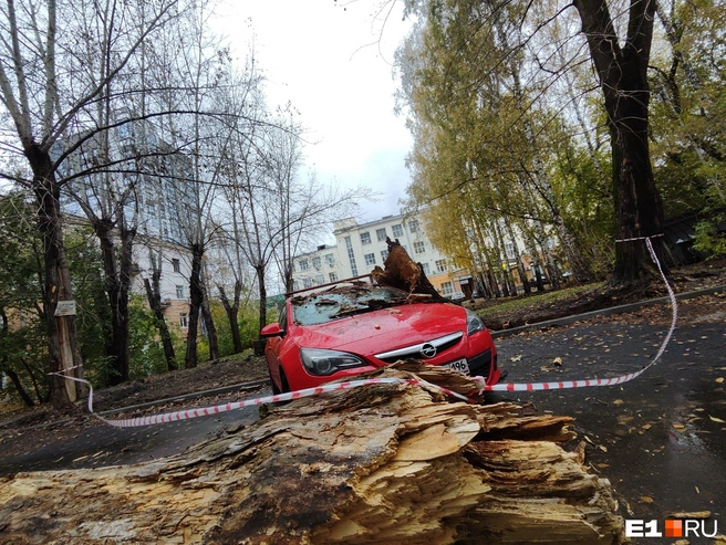 Сотрудники УК зафиксировали повреждения автомобиля | Источник: предоставлено владельцем Opel