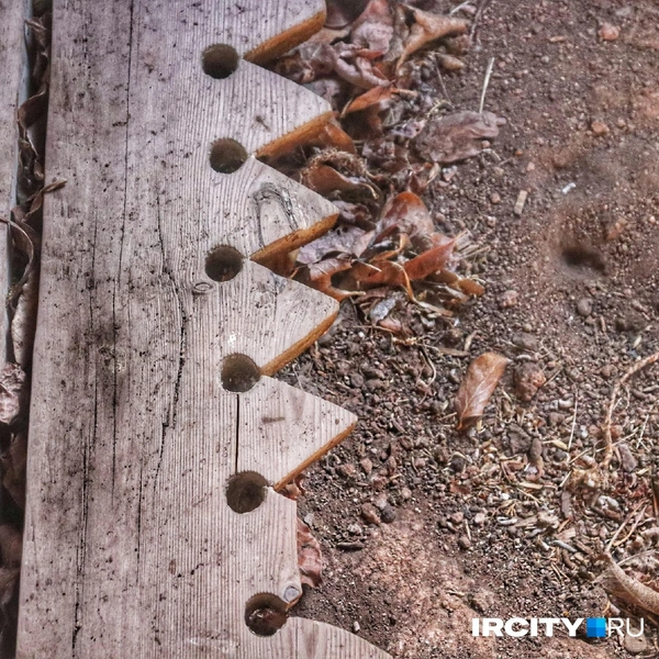 Источник: Алена Кашпарова / «ИрСити»