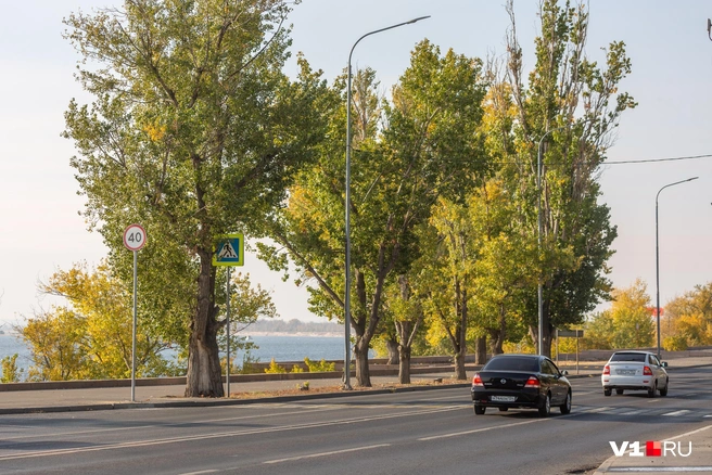 Знаки установлены перед пешеходными переходами | Источник: Константин Завриков / V1.RU